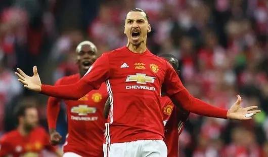 仅体现在体 仅体现在体